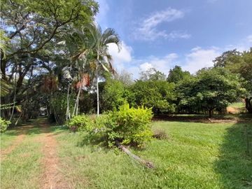 Lote terreno de 30.000 m2 en venta Tienda Nueva Tablones Palmira Valle
