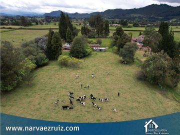 Vendo Lote de 14.000mts en Tenjo