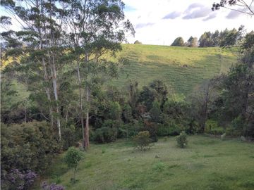 Vendo casa finca  Rionegro vía Tablazo  aeropuerto.