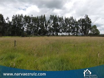 Vendo Hermosa Finca en Tenjo Vereda Guangata