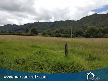 Vendo Hermosa Finca en Tenjo Vereda Guangata