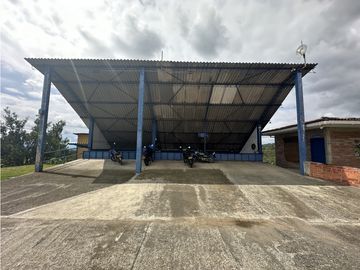 Se Vende Finca Cafetera En Alcala Norte Del Valle Limites Con Quindio