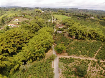 Se Vende Finca Cafetera En Alcala Norte Del Valle Limites Con Quindio