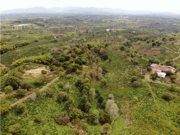Se Vende Finca Cafetera En Alcala Norte Del Valle Limites Con Quindio