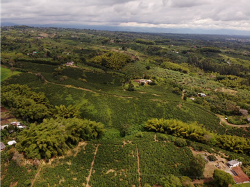 Se Vende Finca Cafetera En Alcala Norte Del Valle Limites Con Quindio