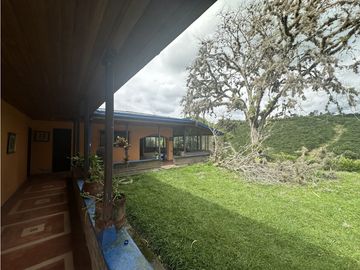 Se Vende Finca Cafetera En Alcala Norte Del Valle Limites Con Quindio