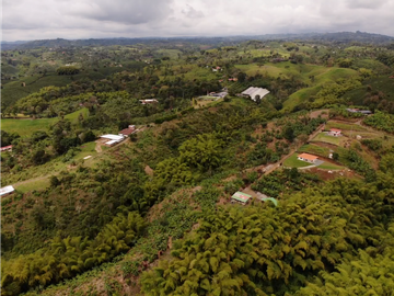Se Vende Finca Cafetera En Alcala Norte Del Valle Limites Con Quindio