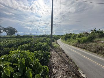 Se Vende Finca Cafetera En Alcala Norte Del Valle Limites Con Quindio