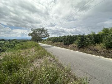 Se Vende Finca Cafetera En Alcala Norte Del Valle Limites Con Quindio