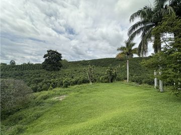 Se Vende Finca Cafetera En Alcala Norte Del Valle Limites Con Quindio