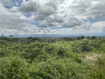 Se Vende Finca Cafetera En Alcala Norte Del Valle Limites Con Quindio
