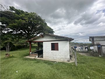 Se Vende Finca Cafetera En Alcala Norte Del Valle Limites Con Quindio