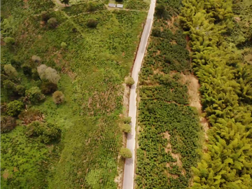Se Vende Finca Cafetera En Alcala Norte Del Valle Limites Con Quindio