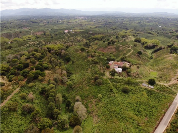 Se Vende Finca Cafetera En Alcala Norte Del Valle Limites Con Quindio