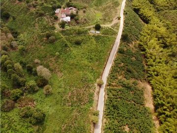 Se Vende Finca Cafetera En Alcala Norte Del Valle Limites Con Quindio