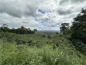 Se Vende Finca Cafetera En Alcala Norte Del Valle Limites Con Quindio