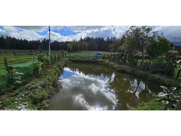 FINCA EN VENTA O PERMUTA,  COGUA CUNDINAMARCA