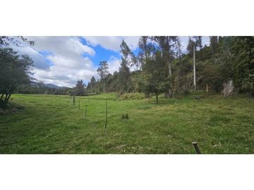 FINCA EN VENTA O PERMUTA,  COGUA CUNDINAMARCA