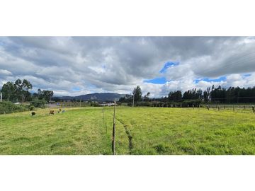 FINCA EN VENTA O PERMUTA,  COGUA CUNDINAMARCA