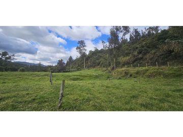 FINCA EN VENTA O PERMUTA,  COGUA CUNDINAMARCA