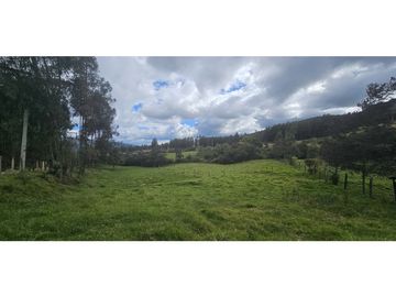 FINCA EN VENTA O PERMUTA,  COGUA CUNDINAMARCA
