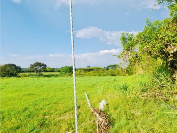 Se Venden Casas En Planos Campestre La Tebaida Quindio