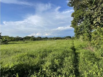 Se Venden Casas En Planos Campestre La Tebaida Quindio