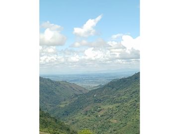 se VENDE FINCA en el Municipio de GENOVA