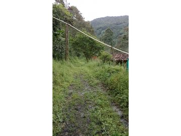 se VENDE FINCA en el Municipio de GENOVA