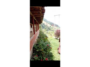 se VENDE FINCA en el Municipio de GENOVA