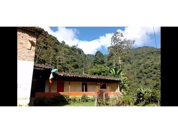 se VENDE FINCA en el Municipio de GENOVA
