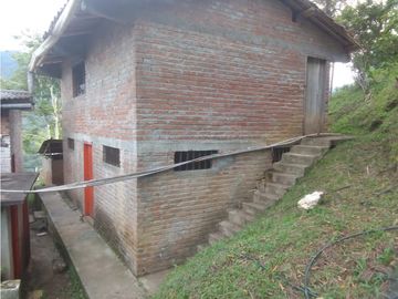 se VENDE FINCA en el Municipio de GENOVA