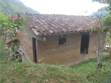 se VENDE FINCA en el Municipio de GENOVA