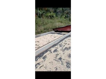 se VENDE FINCA en el Municipio de GENOVA