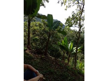 se VENDE FINCA en el Municipio de GENOVA