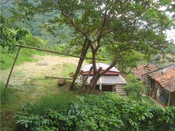 se VENDE FINCA en el Municipio de GENOVA