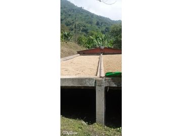 se VENDE FINCA en el Municipio de GENOVA