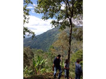 se VENDE FINCA en el Municipio de GENOVA