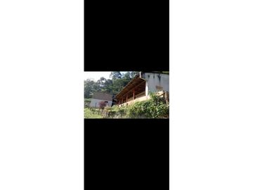 se VENDE FINCA en el Municipio de GENOVA