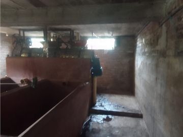 se VENDE FINCA en el Municipio de GENOVA