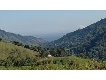 se VENDE FINCA en el Municipio de GENOVA