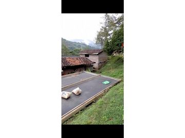se VENDE FINCA en el Municipio de GENOVA