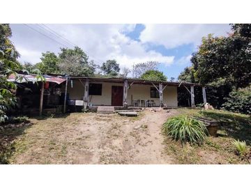 Finca En Venta Cafetera Pequeña En Salento Quindio