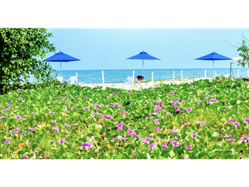 Proyecto Morros Aura Serena del Mar Cartagena