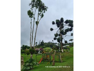 Finca en Venta Km 28.5 Via al Mar Cali - Colombia