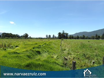 Vendo Hermosa Finca de 23 Fanegadas en Tenjo