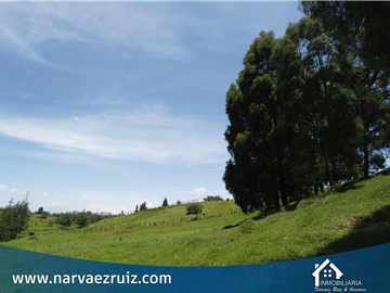 Vendo Hermosa Finca de 23 Fanegadas en Tenjo