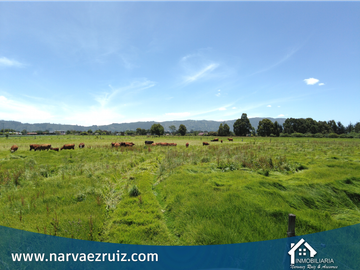 Vendo Hermosa Finca de 23 Fanegadas en Tenjo