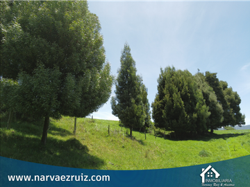Vendo Hermosa Finca de 23 Fanegadas en Tenjo