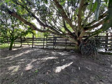 El Bolo - Finca en venta y/o permuta